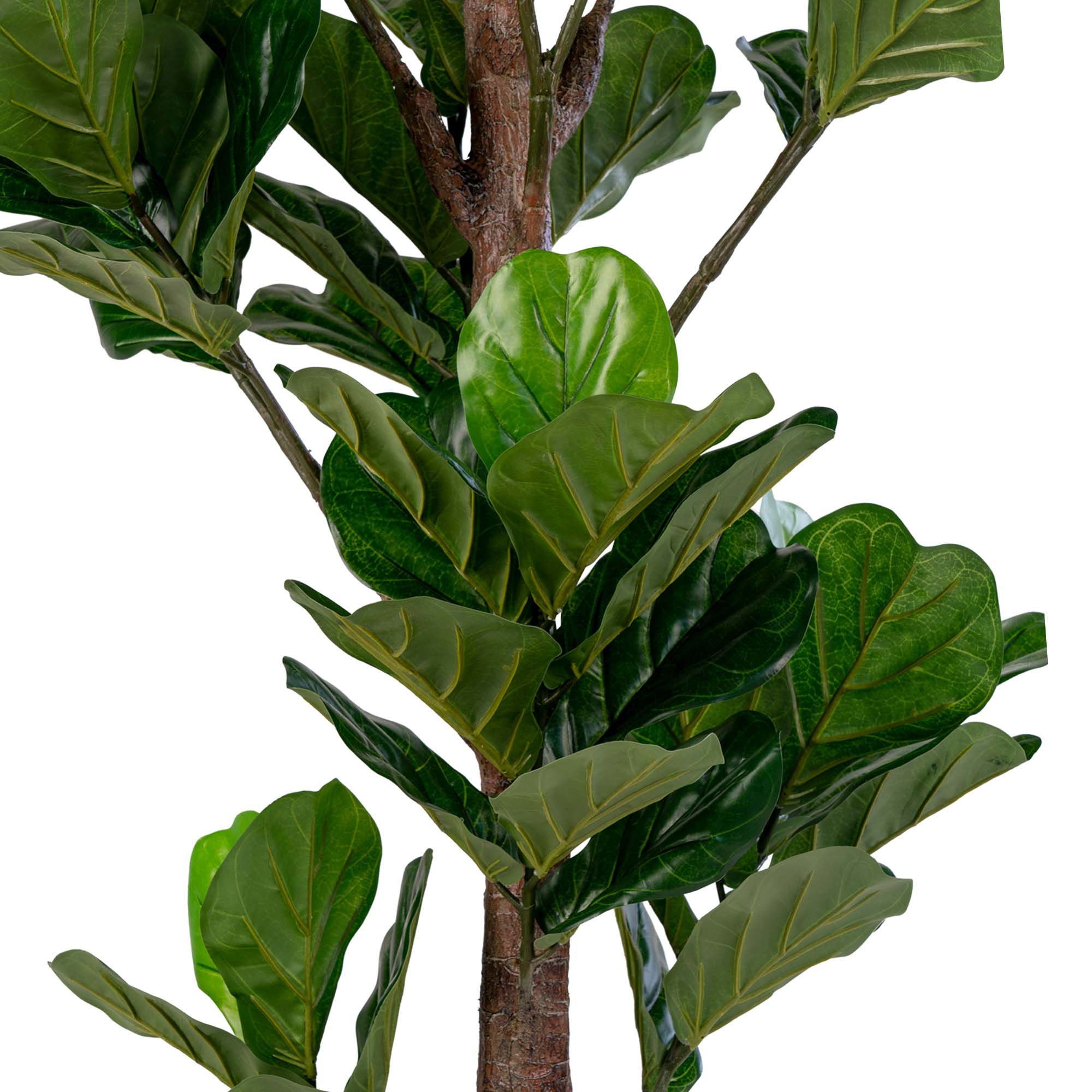 Geigenfeige – Künstliche Pflanze, grün, 190 cm